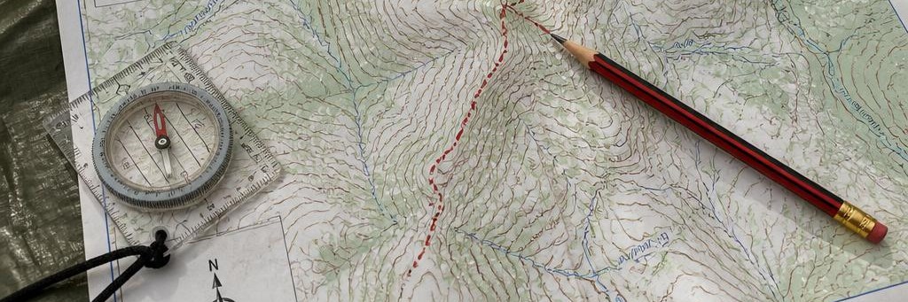 Terrain